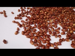 آلة تصنيف التمر