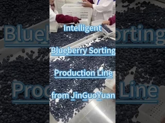 خط فرز التوت الأزرق من JGY